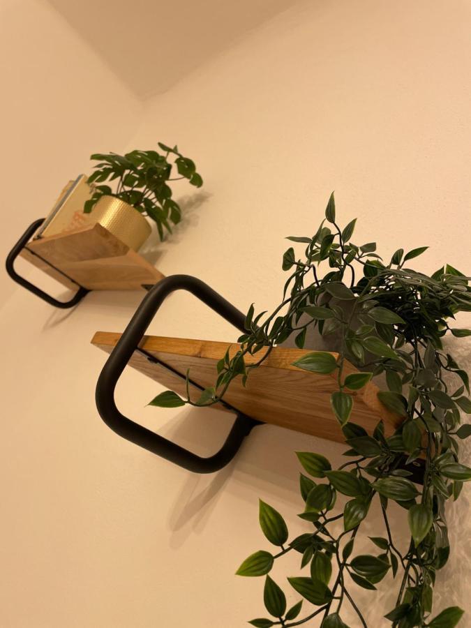 Trendy Apartment Near Schloss Schonbrunn ウィーン エクステリア 写真